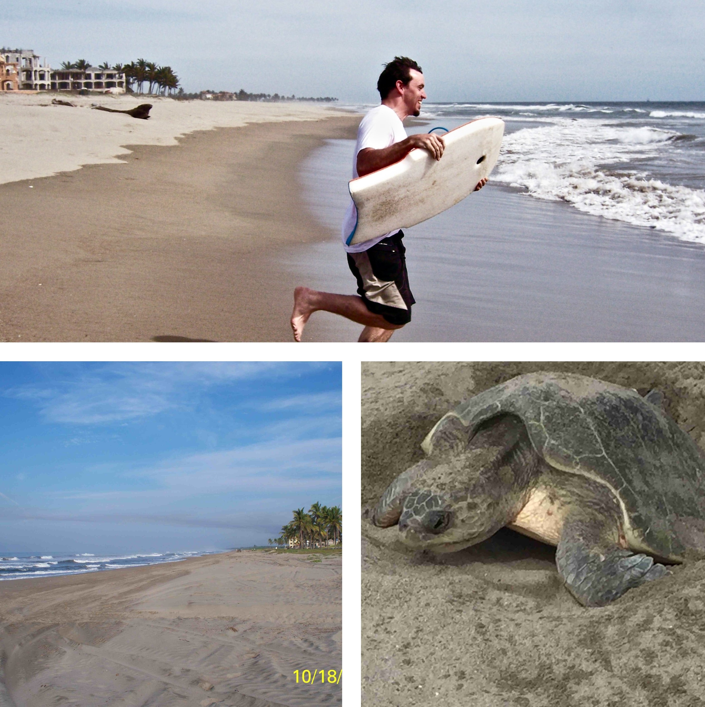 Best Coastal Condo Rentals in Mexico with Ocean Views